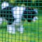 Garden Zone Garden Craft 24 in. H X 5 ft. L Steel Hardware Cloth 1/2 in. 272405 - alternate 5